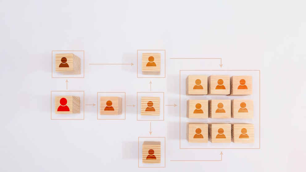 Governance Structure: Definition and Categories