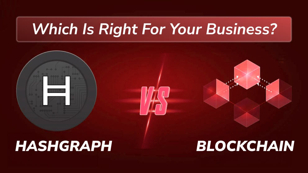 Hashgraph vs Blockchain: Which is Right for Your Business?