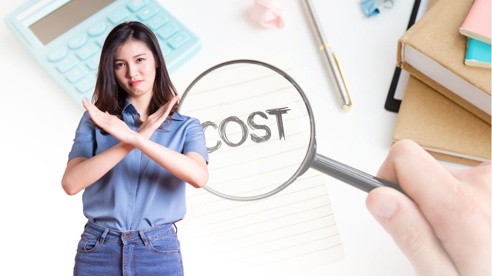 Do Not Rely Solely on the Cost to Hire .NET Developers