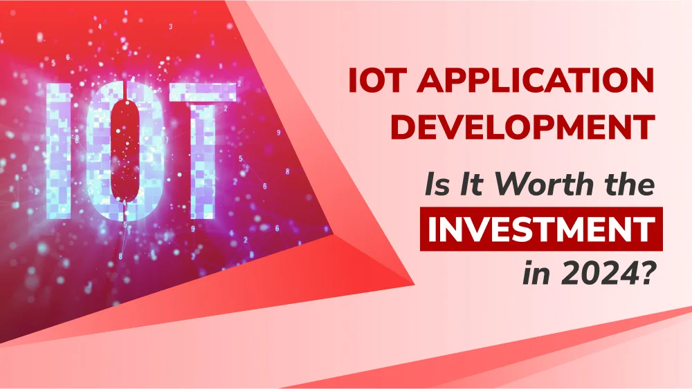 IoT Application Development: Is It Worth the Investment in 2024?