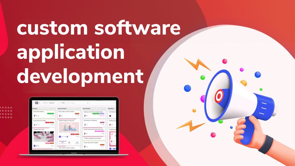 Beyond Off-the-Shelf: Custom Software Application Development for Unique Needs