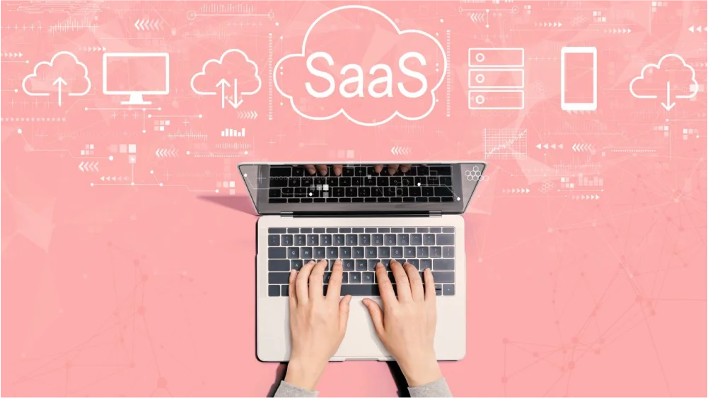 Entities and Attributes in Databases for SaaS Applications