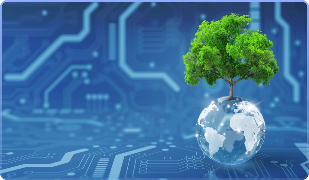 Environmental Impact Monitoring