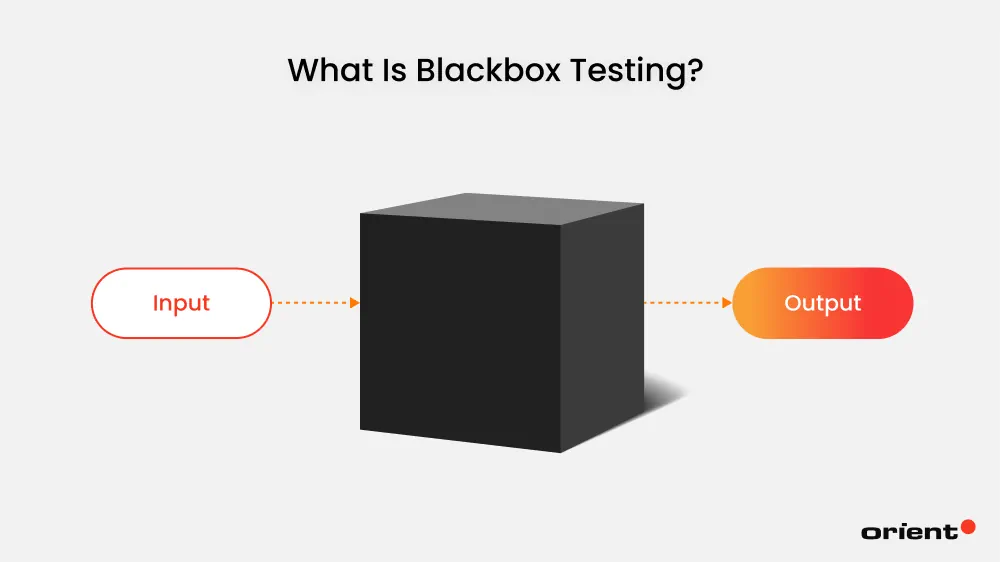 What Is Blackbox Testing?