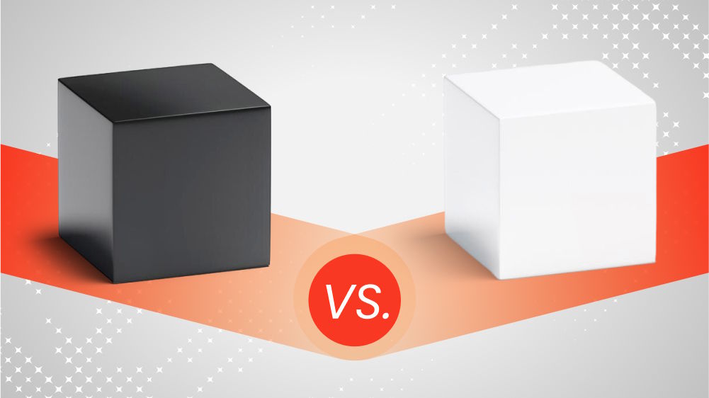 Key Similarities & Differences Between Black Box vs. White Box Testing