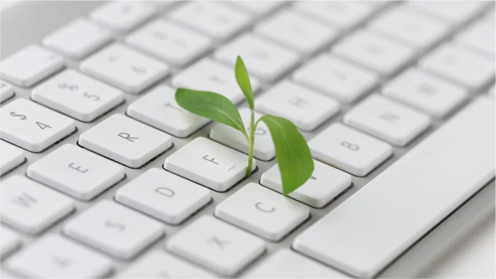 Carbon Footprint, Green Coding