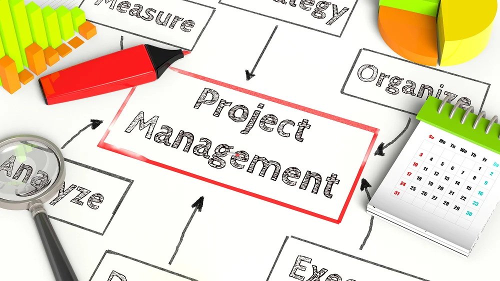 Project Scope & Feature Complexity