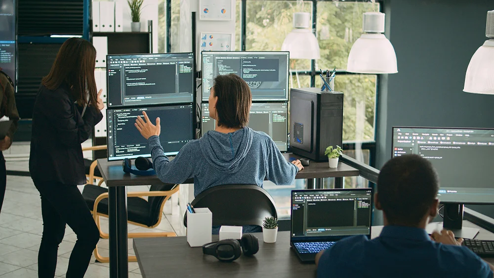 Embedded System Development