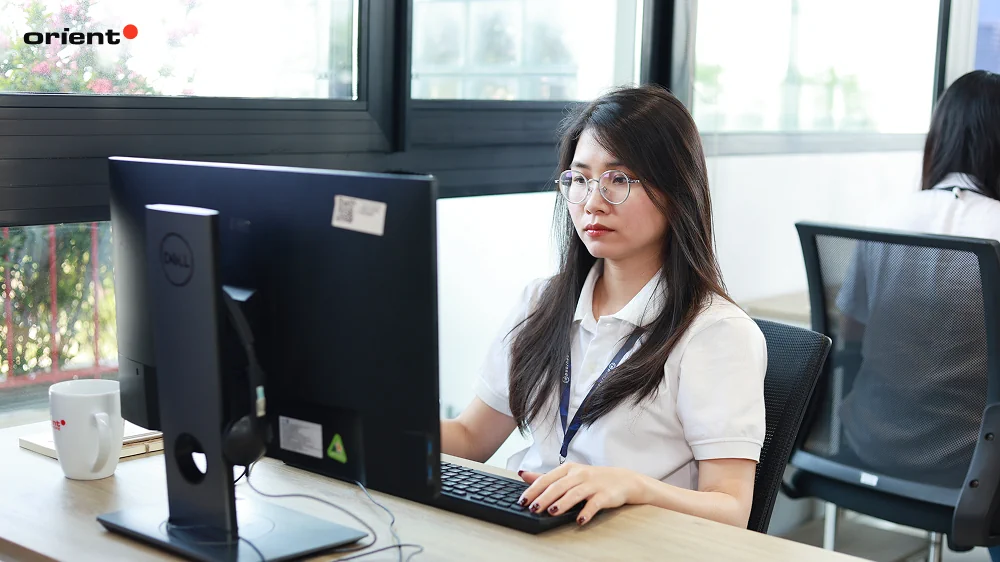 Optimize Your Web Development Budget with Orient Software