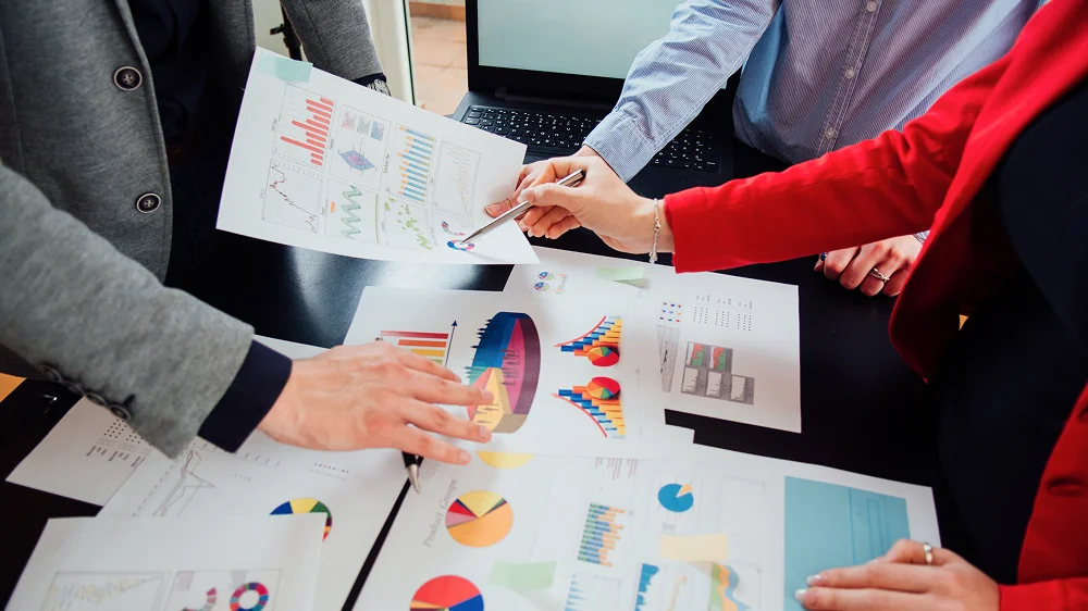 Stage 2: Requirement Gathering & Feasibility Analysis