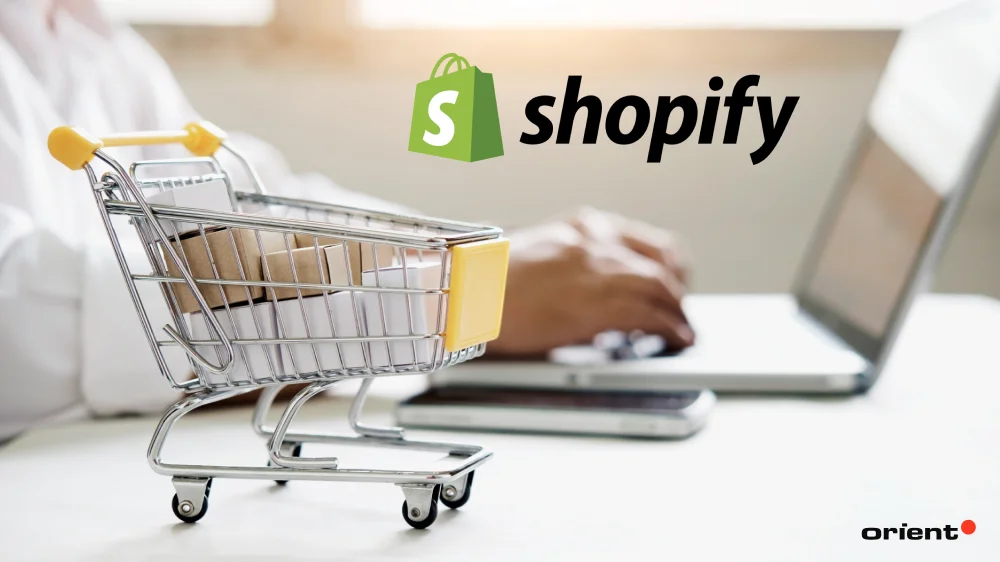 Segment #2: Shopify & Direct-to-Consumer (DTC) Specialists