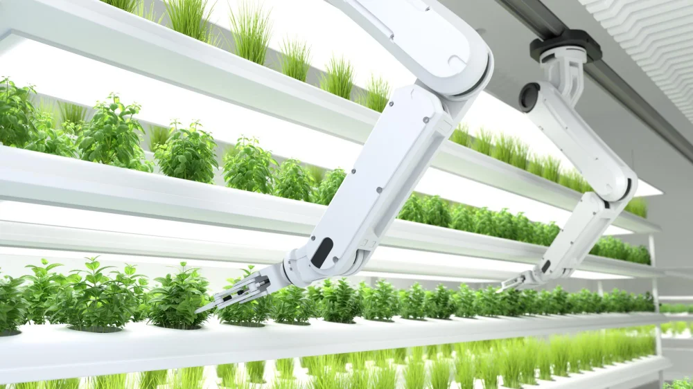 Agricultural Robots: The Sidekick of Modern Farmers