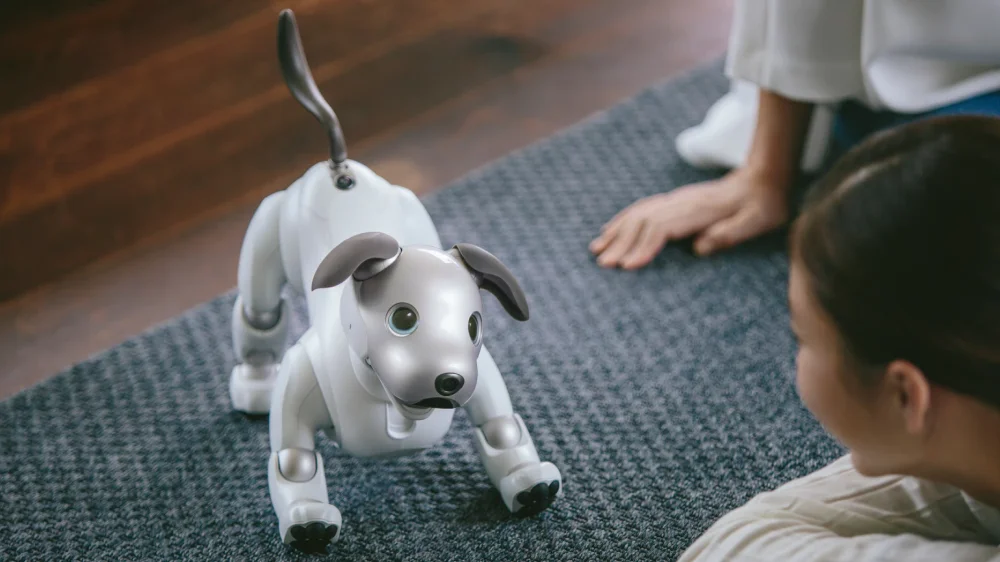 Entertainment Robots: The Fun Companion