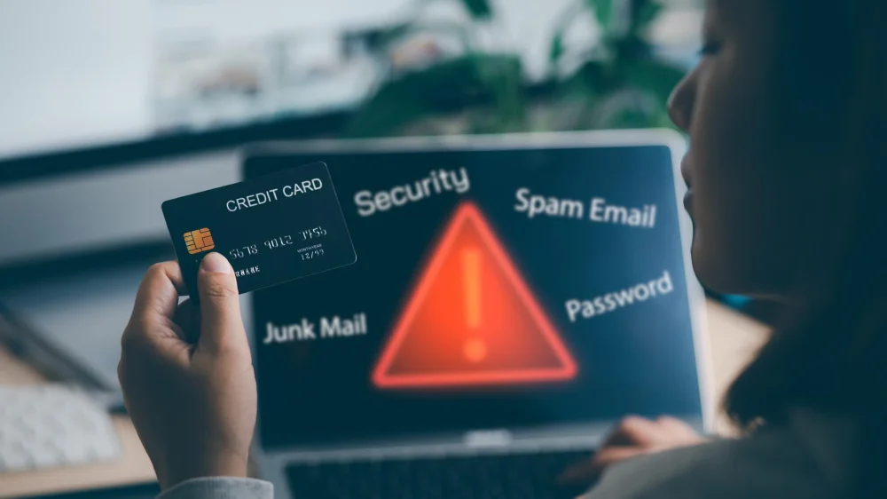 Fraud Detection and Prevention