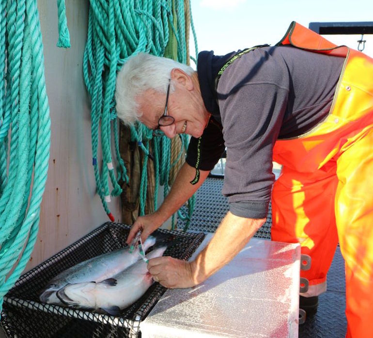 Fishwell Partnered with Orient Software’s Experts for Consulting Fish Welfare Monitoring System content