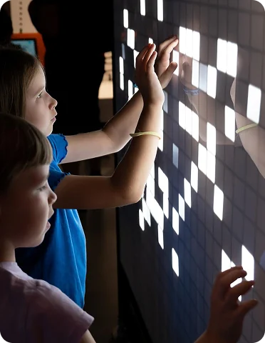 Gamified Learning Systems